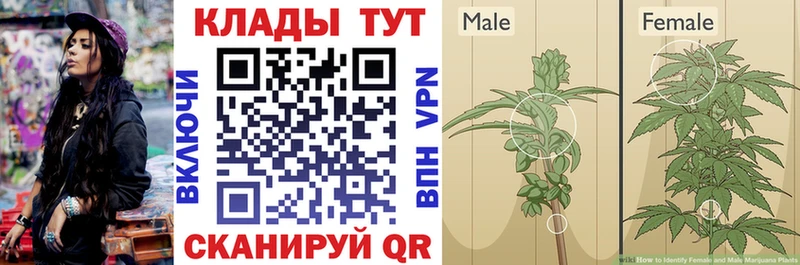 Купить закладку Полярные Зори МАРИХУАНА APVP Мефедрон