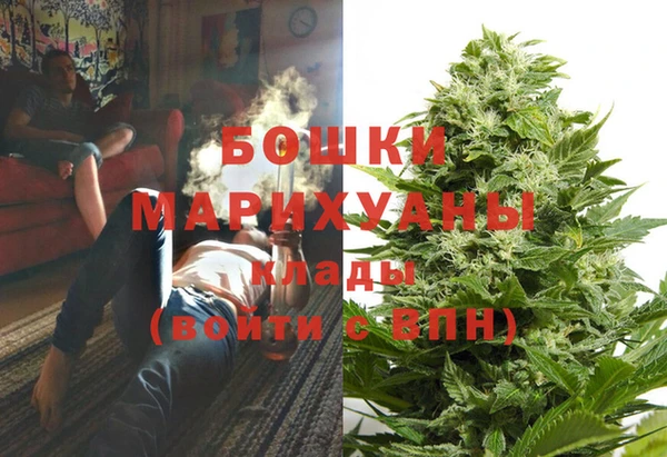 хмурый Алзамай