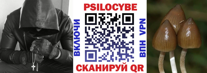 где купить наркоту  Полярные Зори  Галлюциногенные грибы ЛСД 
